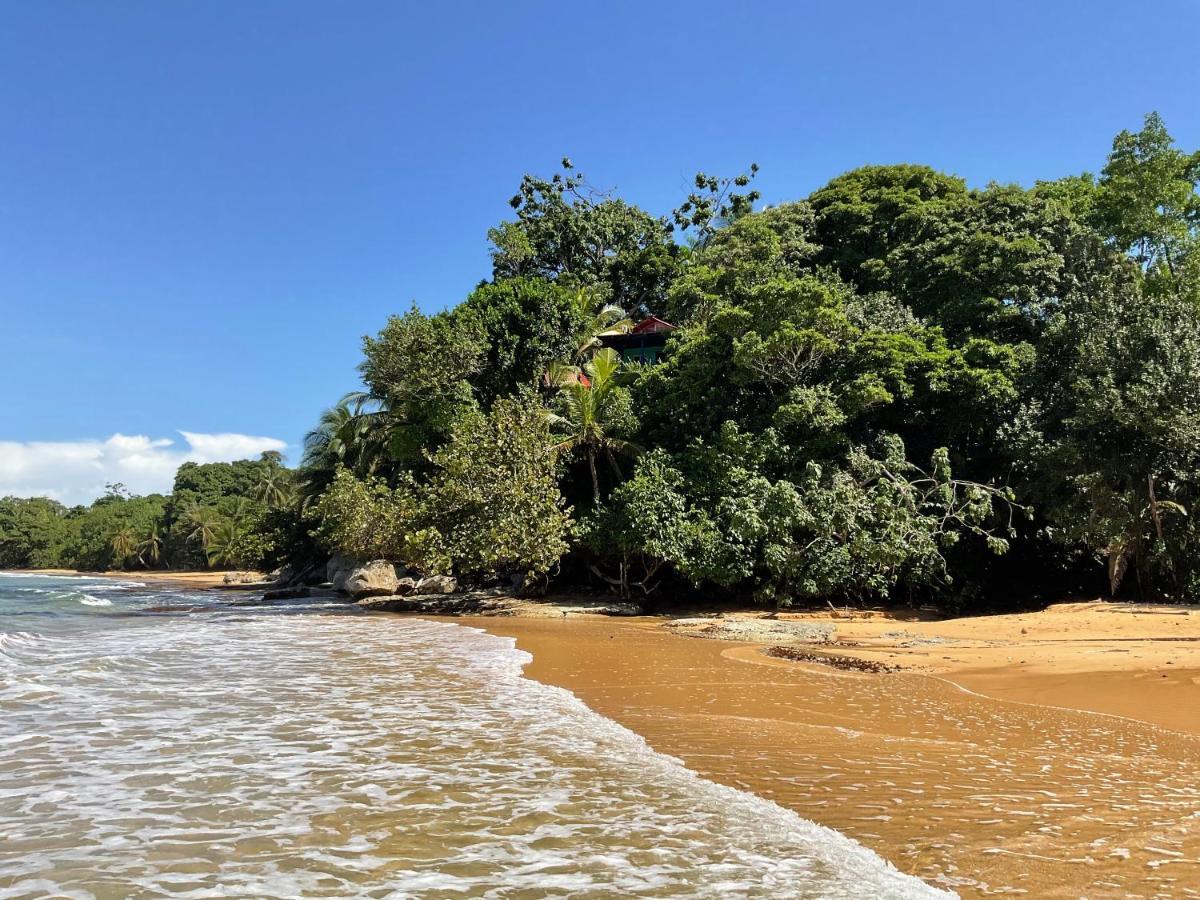 Tesoro Escondido Ecolodge Cabinas Bocas Town Kültér fotó