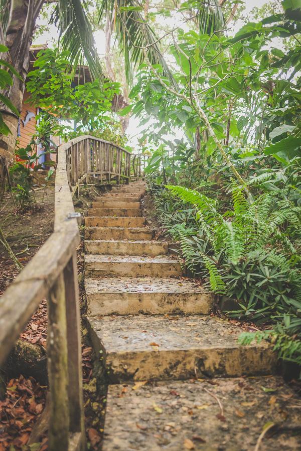 Tesoro Escondido Ecolodge Cabinas Bocas Town Kültér fotó